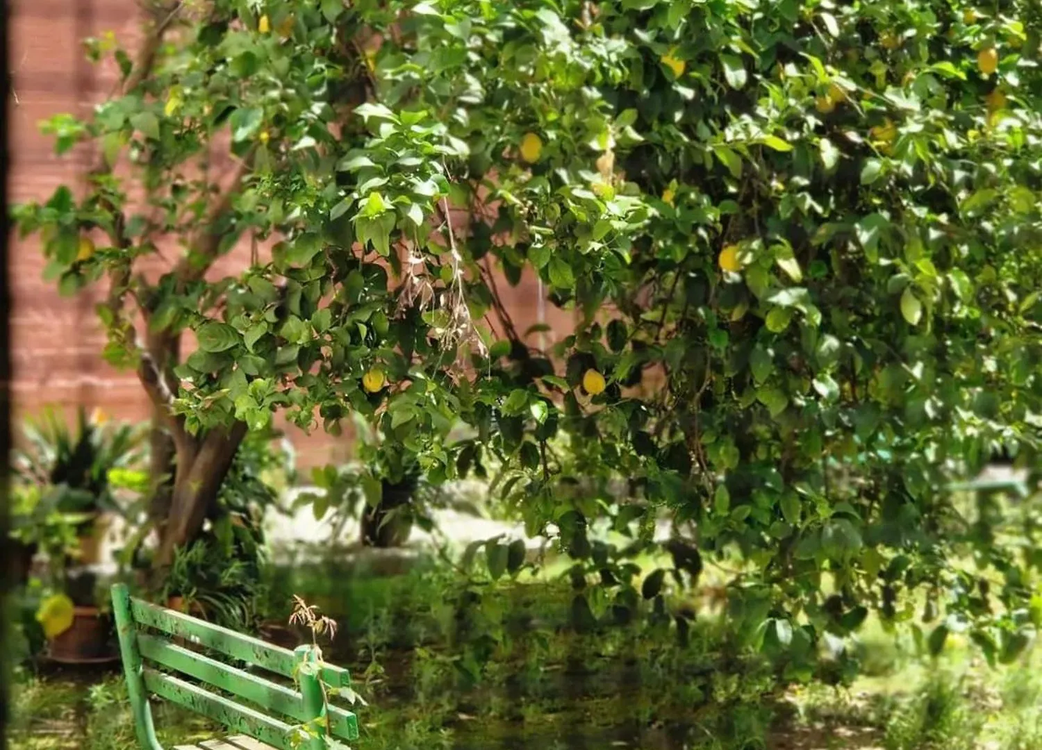 Bright Apartment In Seville With Private Garden