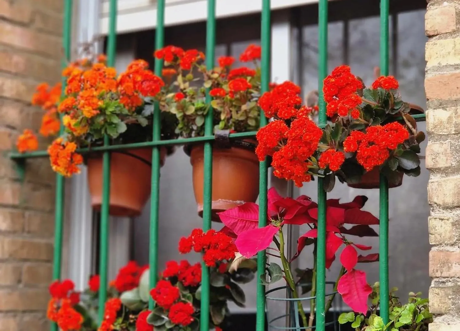 Bright Apartment In Seville With Private Garden Spagna